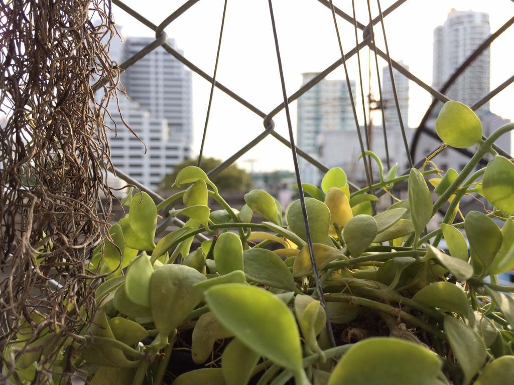 Jeesnail Guesthouse Bangkok Exterior foto