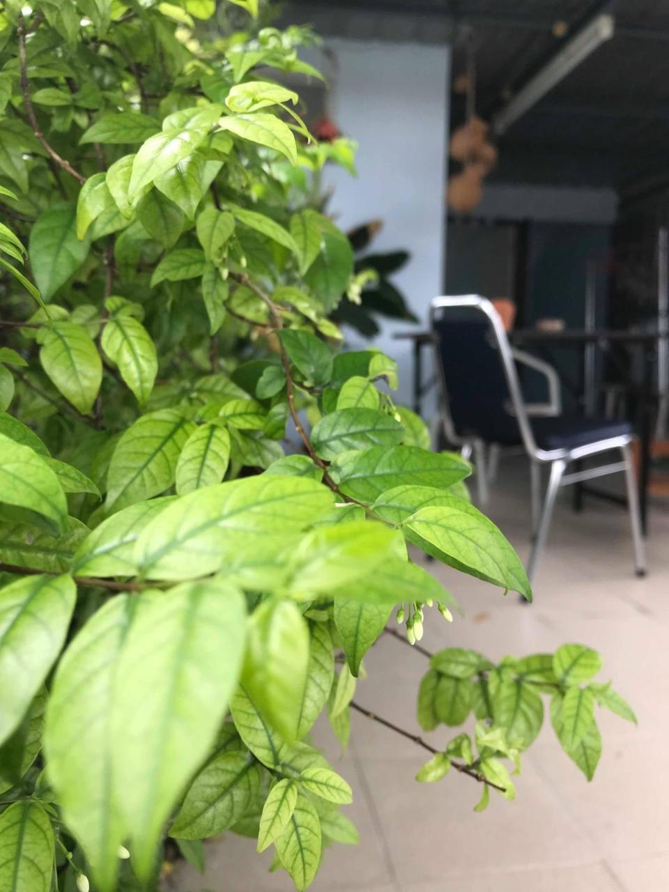 Jeesnail Guesthouse Bangkok Exterior foto