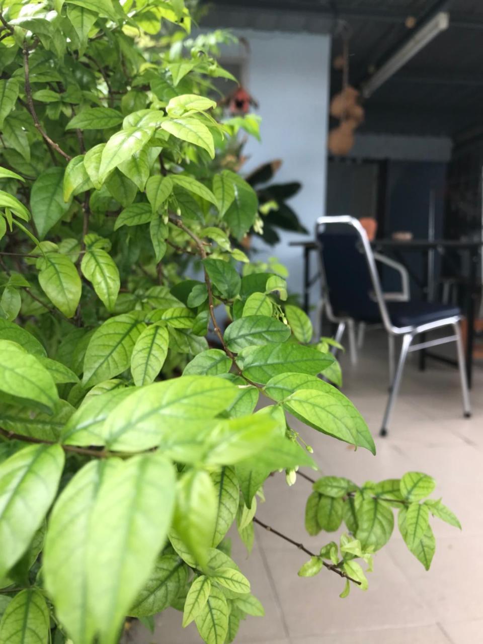 Jeesnail Guesthouse Bangkok Exterior foto